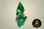 Syngonium Panda