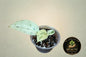 Scindapsus Silver Cloud Marble