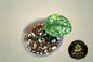 Scindapsus Geulis