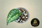 Scindapsus Geulis