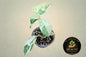 Scindapsus Silver Cloud Marble