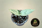 Scindapsus Silver Cloud Marble